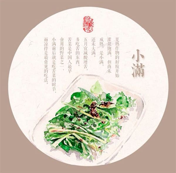 下滿(mǎn)吃苦菜苦菜骨密度儀.jpg